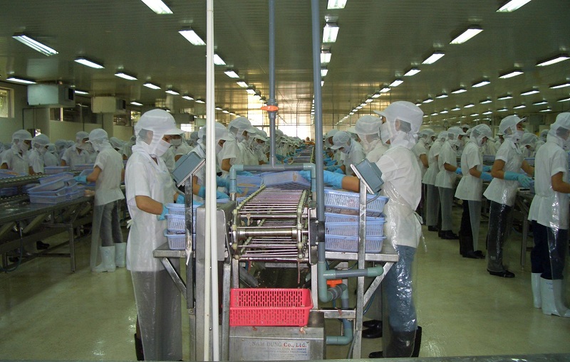 Nhà máy chế biến cá tra - Ảnh minh họa