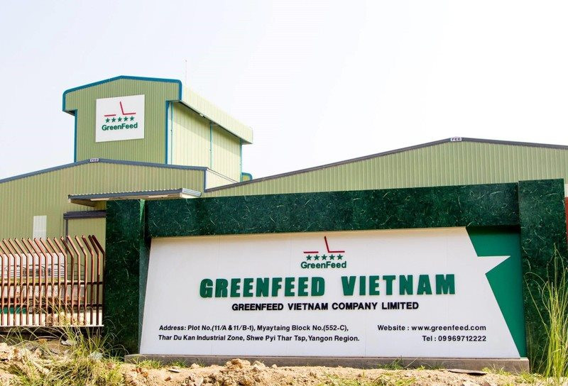 Từng được IFC rót 1.000 tỷ để cạnh tranh với Masan, CP trong mảng thịt, Green Feed bất ngờ báo lỗ 20 tỷ, nợ phải trả 5.500 tỷ đồng
