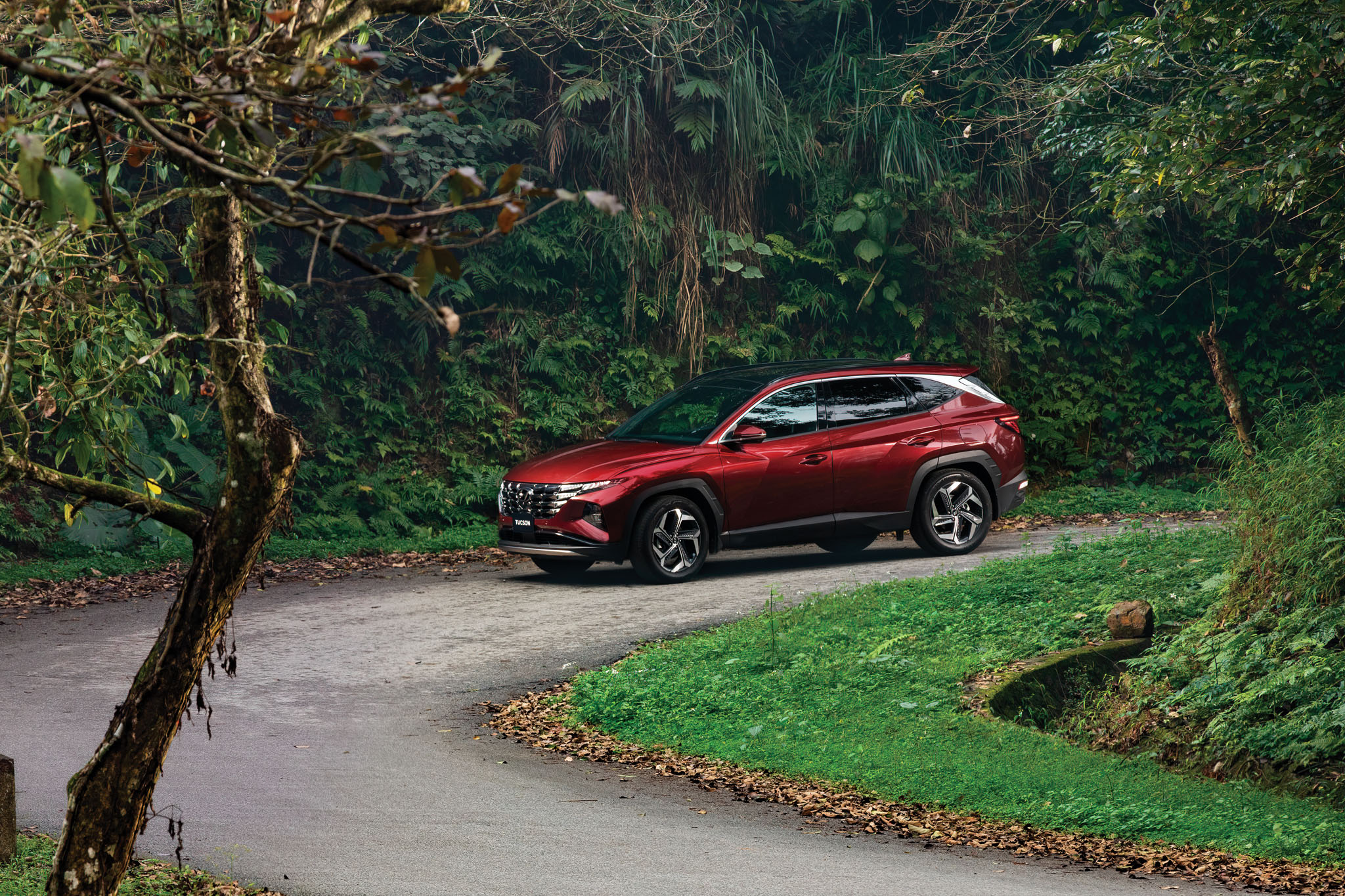 Dòng xe Hyundai Tucson bán được 1.249 xe trong tháng 10.