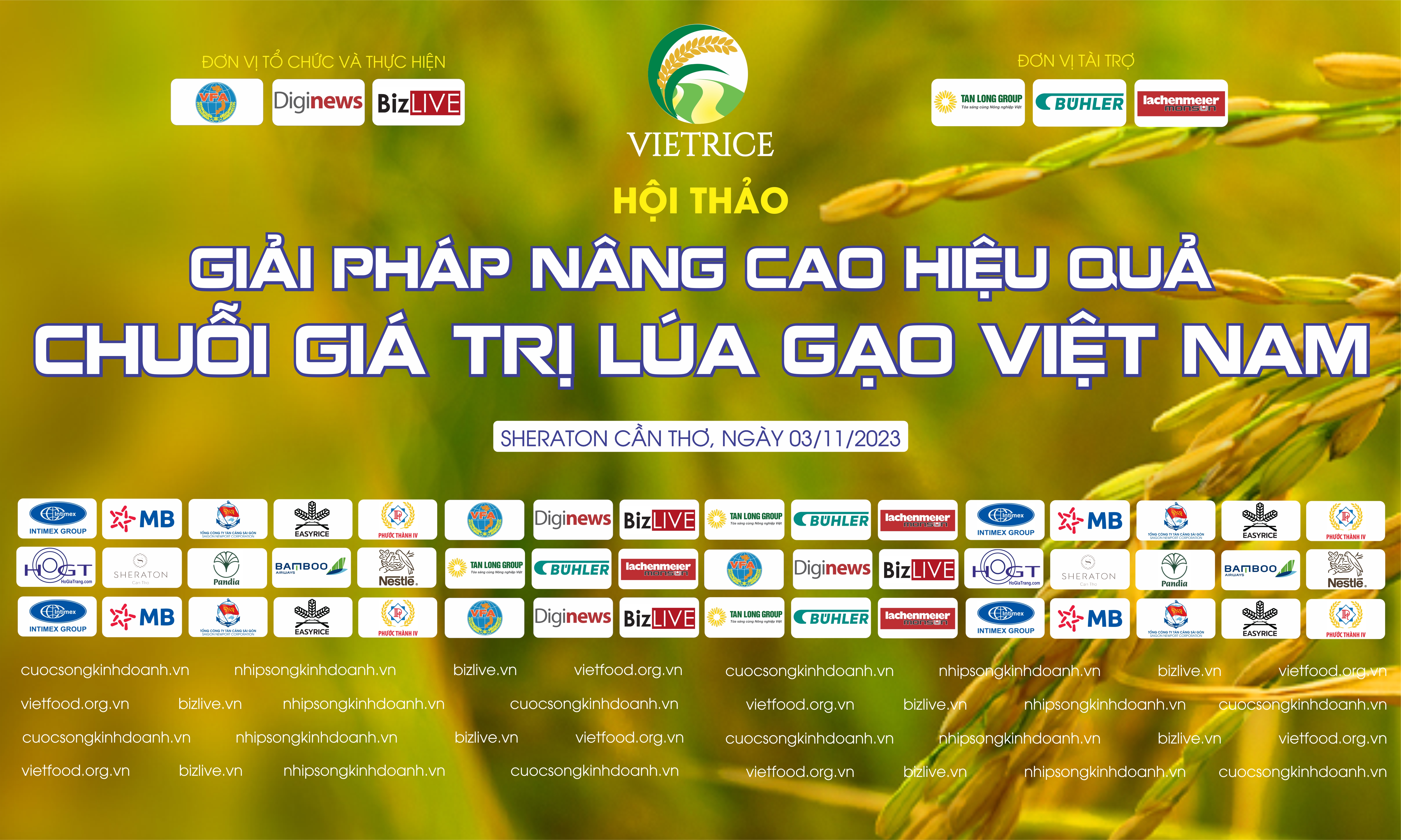 Sắp diễn ra hội thảo “Giải pháp nâng cao hiệu quả chuỗi giá trị lúa gạo Việt Nam”