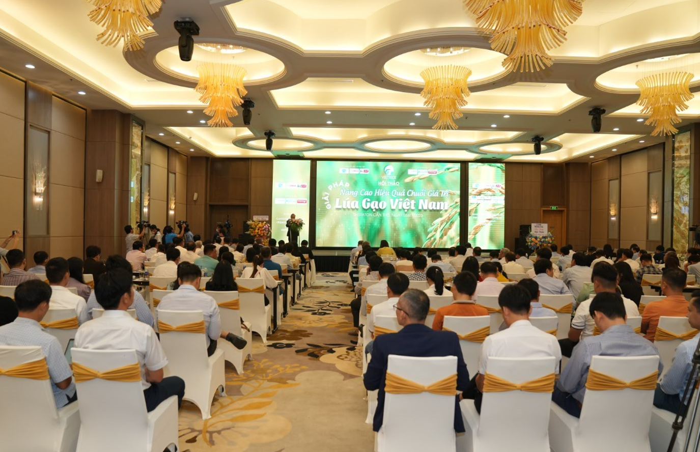 Sáng 3/11, Hiệp hội Lương thực Việt Nam và BizLIVE phối hợp tổ chức hội thảo thường niên “Giải pháp nâng cao hiệu quả chuỗi giá trị lúa gạo Việt Nam” tại khách sạn Sheraton Cần Thơ.