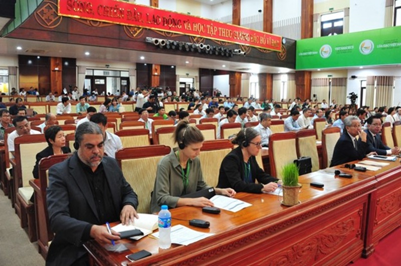 Hội thảo “Phát triển chuỗi giá trị lúa gạo Việt Nam trách nhiệm và bền vững”.