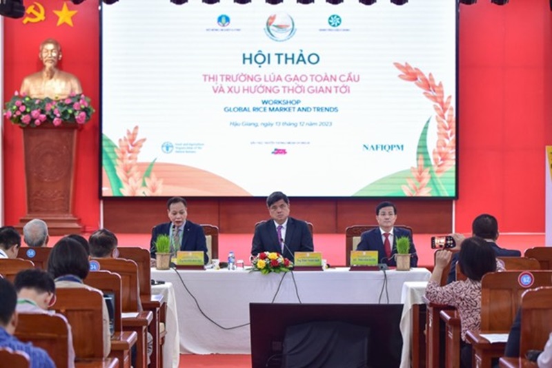 Nhu cầu gạo toàn cầu tiếp tục sôi động trong thời gian tới