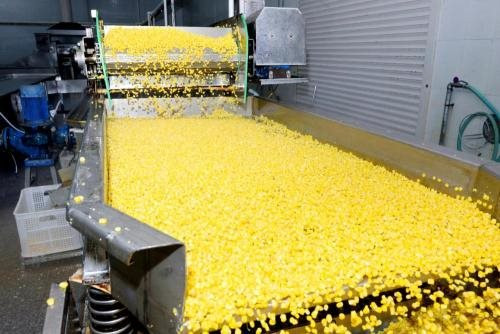 Sau gạo và lúa mì, thêm một loại nông sản khiến nông dân nhiều nước lao đao: giá giảm sốc, Việt Nam tăng nhập khẩu hơn 2 tỷ USD