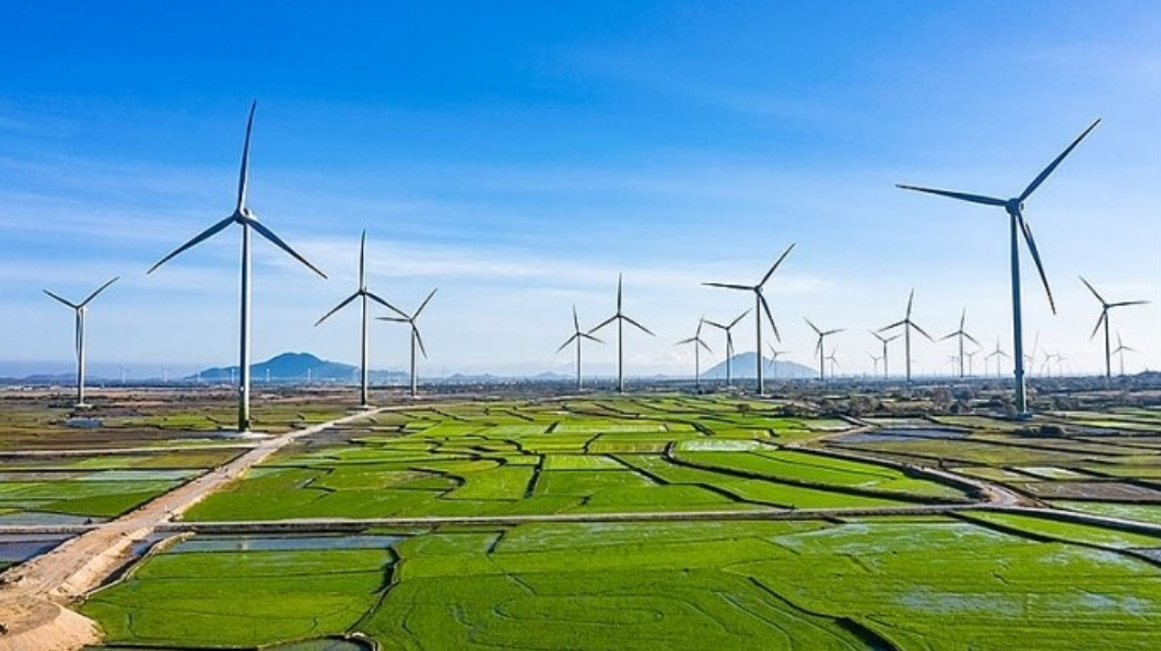 Bộ Công Thương xây dựng khung giá phát điện nhà máy điện mặt trời, điện gió. Ảnh: VGP