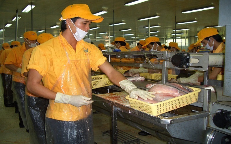 Nhà máy chế biến cá tra - Ảnh minh họa