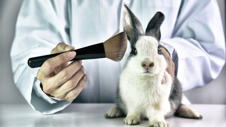 animal-testing-in-china-exemption-undoubtedly-the-future-but-practical-challenges-remain-4480.jpg