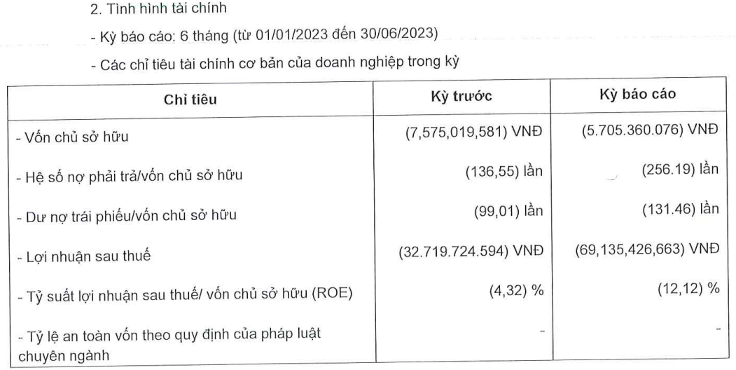 ngoc-minh-2228.png