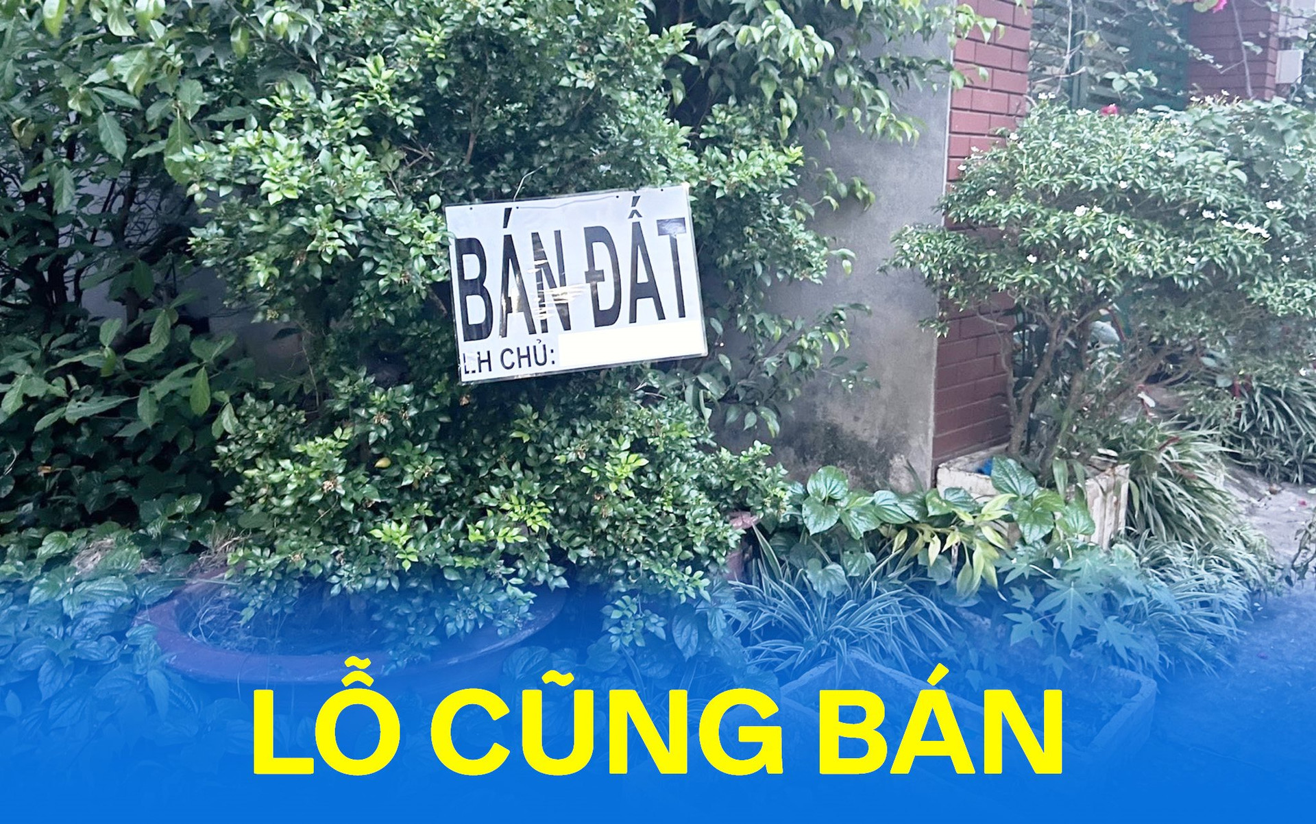Nỗi lòng nhà đầu tư: "Đã bán lỗ còn bị ép giá giảm đến 50%"