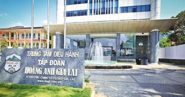Vốn điều lệ từ 6.663 tỷ xuống 1.950 tỷ: Hành trình thay đổi của Chăn nuôi Gia Lai sau lần thứ 2 hoán đổi nợ thành vốn cổ phần với HAGL