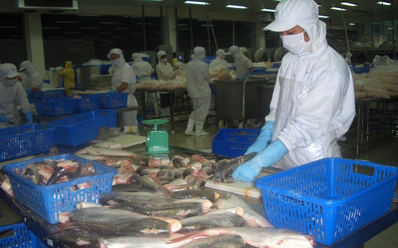 Xuất khẩu cá tra hướng đến mục tiêu 2 tỷ USD năm 2024
