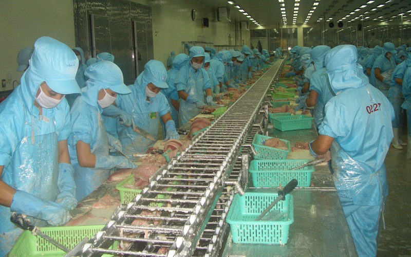 Trung Quốc sẽ tiếp tục là điểm đến hấp dẫn của doanh nghiệp xuất khẩu cá tra Việt Nam trong năm 2024 - Ảnh minh hoạ