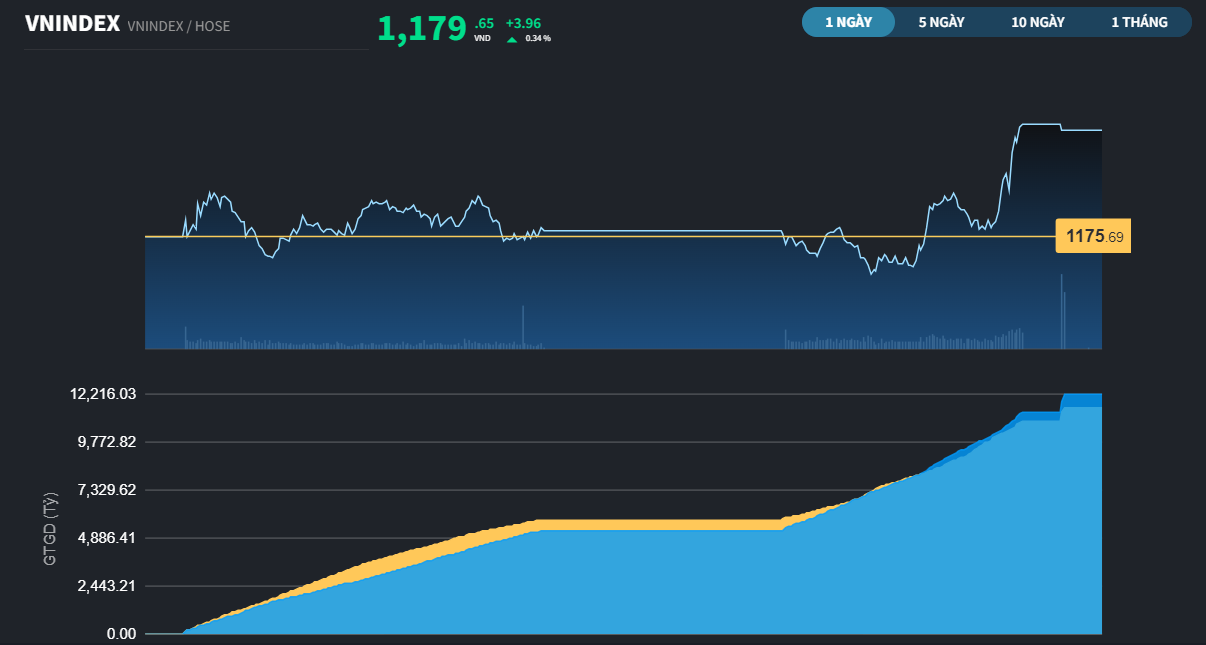 Thanh khoản yếu, Midcap và Penny bất ngờ trỗi dậy