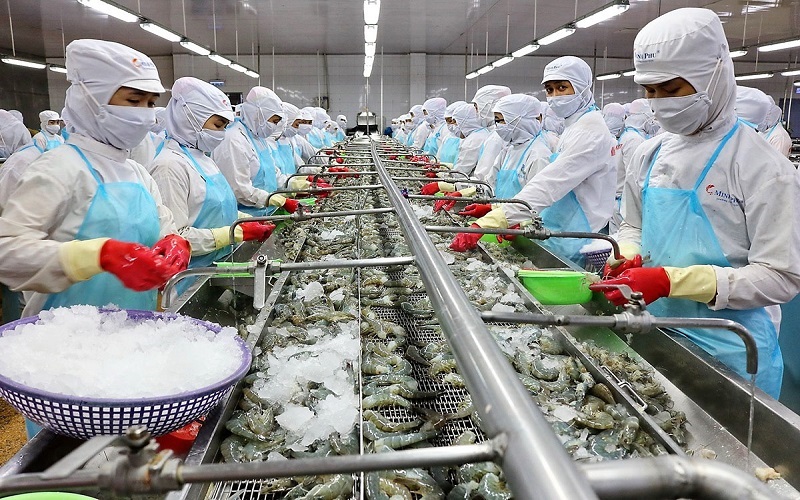 Xuất khẩu tôm sang Trung Quốc và Mỹ tăng mạnh, ngành tôm kỳ vọng sớm trở lại đường đua tăng trưởng