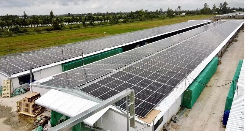 Theo lãnh đạo Bộ Công thương, không thể phát triển một các ngẫu hứng hay ồ ạt điện mặt trời áp mái. Ảnh minh họa.