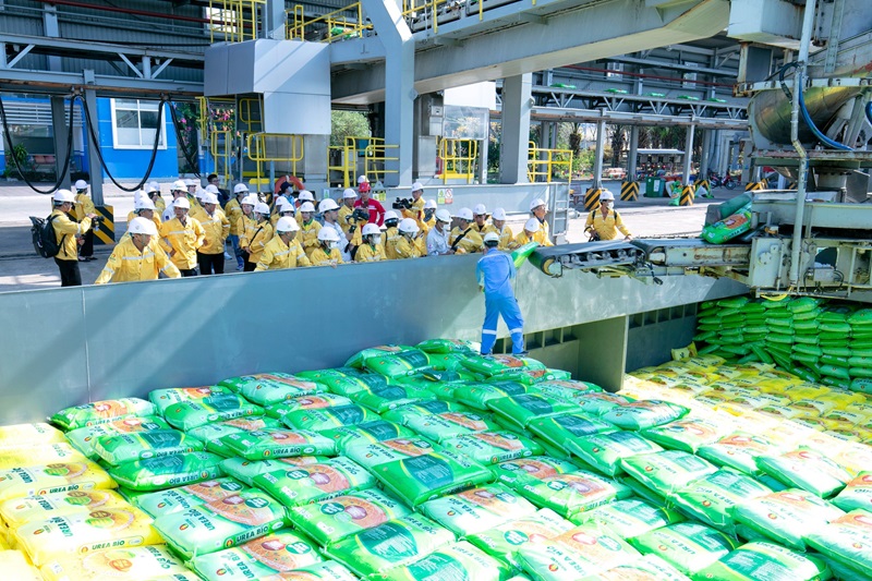Bà con tham quan cảnh xuất hàng tại cảng