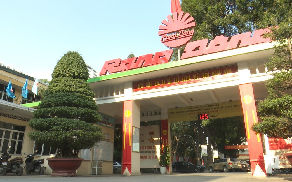 Bóng đèn Phích nước Rạng Đông thu gần 195 tỷ đồng lợi nhuận sau thuế trong quý I/2024