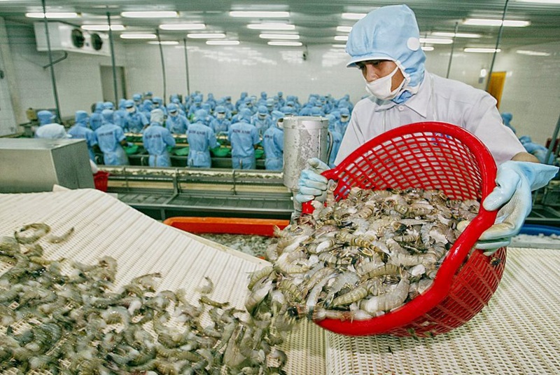 Trong khối CPTPP, Australia là thị trường nhập khẩu tôm lớn thứ hai sau Nhật Bản