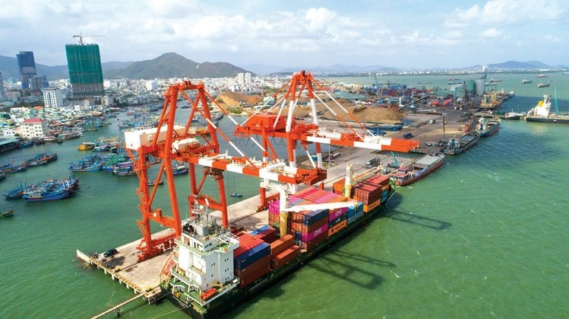 Cảng Quy Nhơn chi trả cổ tức năm 2023 bằng tiền mặt với tỷ lệ 12%