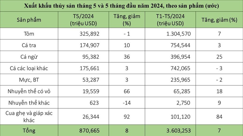 xkthuysanthang5-8542.jpg