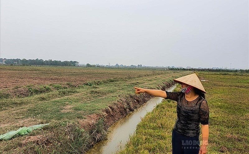 Từ năm 2025, nhiều điểm mới về việc đền bù khi bị thu hồi đất nông nghiệp