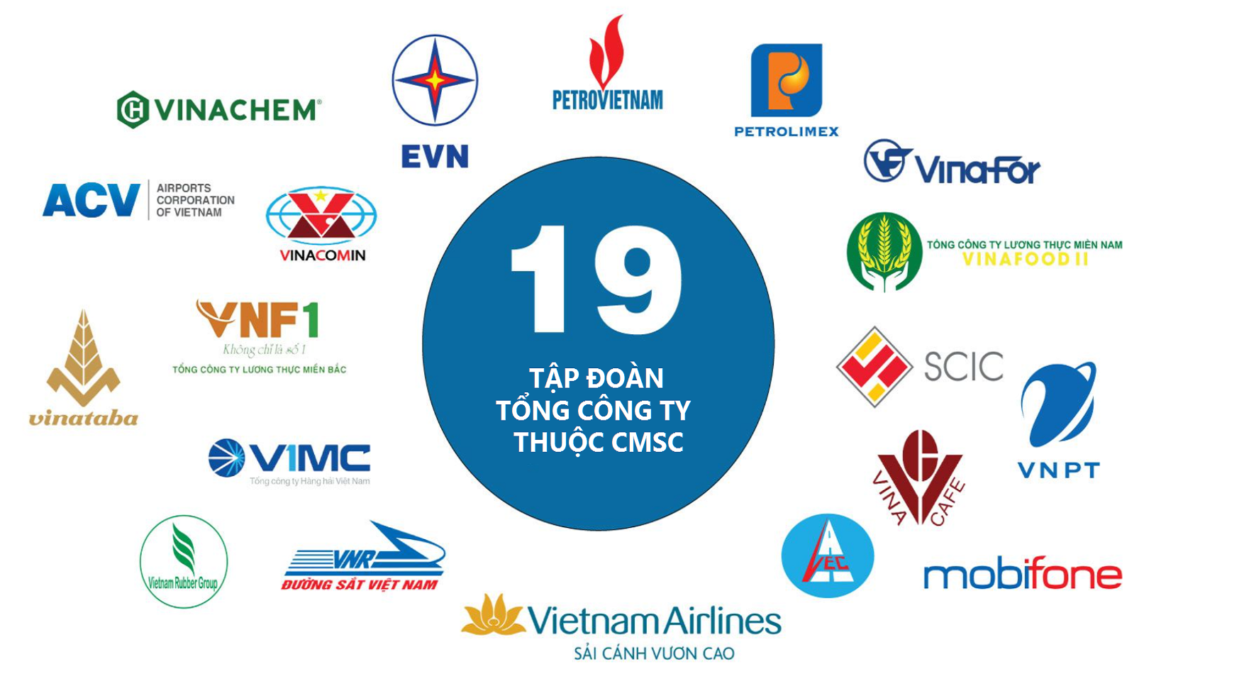19-tap-doan-tong-cong-ty-nha-nuoc_668bac77716c5.png