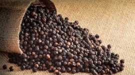 Nông dân sẽ lợi hơn nếu khách ngoại chưa mua, chờ Việt Nam vào vụ thu hoạch tiêu