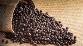 Nông dân sẽ lợi hơn nếu khách ngoại chưa mua, chờ Việt Nam vào vụ thu hoạch tiêu