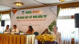 Hoàng Anh Gia Lai có kế hoạch phát hành 1.500 tỷ đồng cổ phiếu riêng lẻ