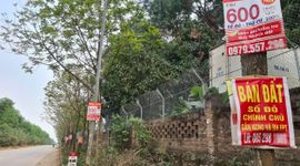 Chuyên gia dự báo khu vực hút dòng tiền mạnh trong thời gian tới sau thông tin siết phân lô?