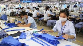 Xanh hoá tạo thách thức lớn cho mặt hàng xuất khẩu tỷ USD của Việt Nam