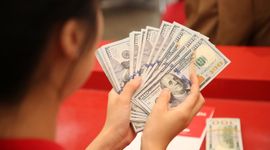 Tỷ giá USD trung tâm lần đầu tiên vượt mốc 24.000 đồng, lên cao nhất lịch sử