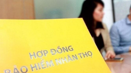 Đem hơn 10.000 tỷ gửi ngân hàng và mua trái phiếu, một doanh nghiệp bảo hiểm nhân thọ lãi lớn từ hoạt động tài chính