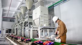 Hóa chất Đức Giang báo lãi năm 2023 giảm gần một nửa, có hơn 10.000 tỷ đồng gửi ngân hàng