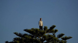 Ngày này 2 năm trước: VN-Index lập đỉnh lịch sử 1.528,57 điểm