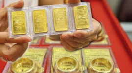 Giá vàng SJC, giá vàng nhẫn hôm nay ngày 12/11: Đồng loạt rớt mạnh