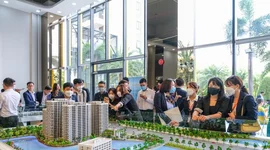 Gần 3.900 doanh nghiệp bất động sản được thành lập mới trong 10 tháng năm 2024