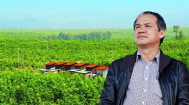 VN-Index tăng điểm phiên thứ 3 liên tiếp, cổ phiếu “họ” Hoàng Anh Gia Lai được “gom” mạnh