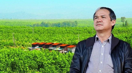 VN-Index tăng điểm phiên thứ 3 liên tiếp, cổ phiếu “họ” Hoàng Anh Gia Lai được “gom” mạnh