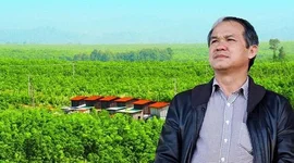 VN-Index tăng điểm phiên thứ 3 liên tiếp, cổ phiếu “họ” Hoàng Anh Gia Lai được “gom” mạnh