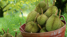 THỜI CƠ NÂNG HẠNG