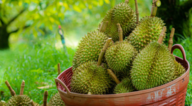 THỜI CƠ NÂNG HẠNG
