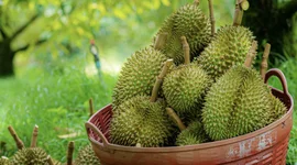 THỜI CƠ NÂNG HẠNG