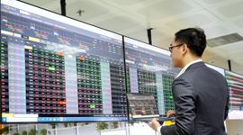 Hiệu suất Pyn Elite Fund “chiến thắng” VN-Index nhờ cổ phiếu ngân hàng