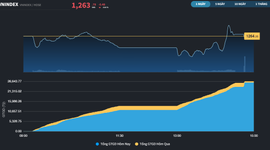 Thị trường "nhiễu" do cơ cấu ETF, dòng tiền tiếp tục ưu ái Midcap và Penny