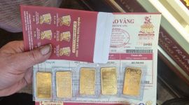 Giá vàng miếng tiếp tục phá đỉnh, đạt 81,3 triệu đồng/lượng