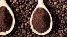 Nguồn cung hạn chế, sản lượng cà phê xuất khẩu trong 6 tháng cuối năm sẽ giảm