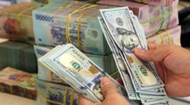 Chuyên gia: Tỷ giá USD/VND sẽ dao động trong khoảng 25.100
