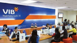 Chủ tịch HĐQT Đặng Khắc Vỹ và người có liên quan nắm 20,26% vốn VIB
