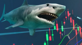 3 cổ phiếu này có thể lọt "tầm ngắm" của các cá mập tổng quy mô 20.000 tỷ trong kỳ review tháng 9